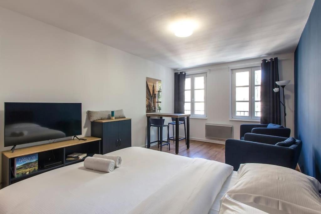 Le 52 Zix - Joli Studio Au Coeur De La Petite France Štrasburk Exteriér fotografie